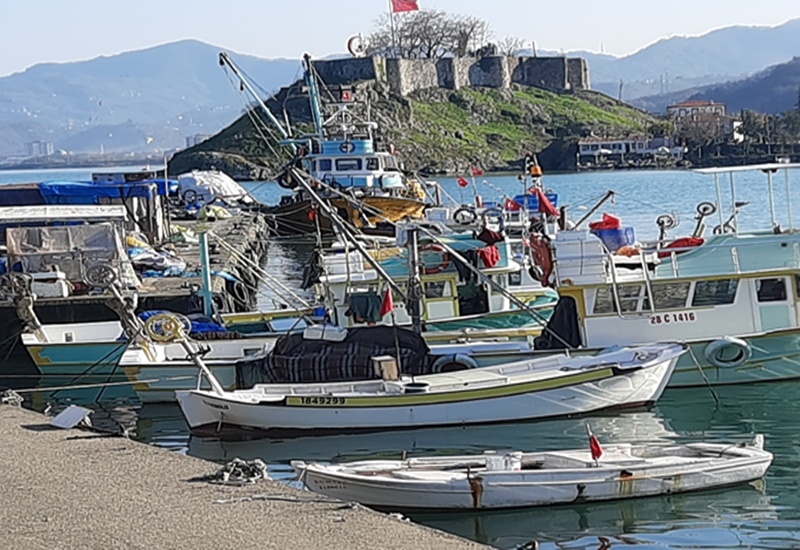 Tirebolu'da Fındık Festivali Başladı